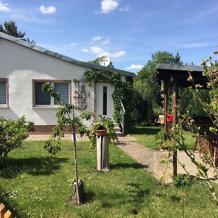 Ferienhaus An Der Selke Meisdorf Eksteriør bilde