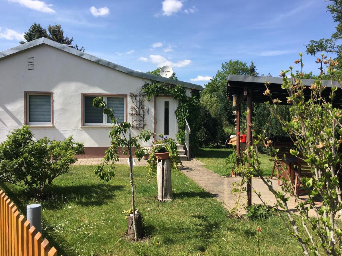 Ferienhaus An Der Selke Meisdorf Eksteriør bilde