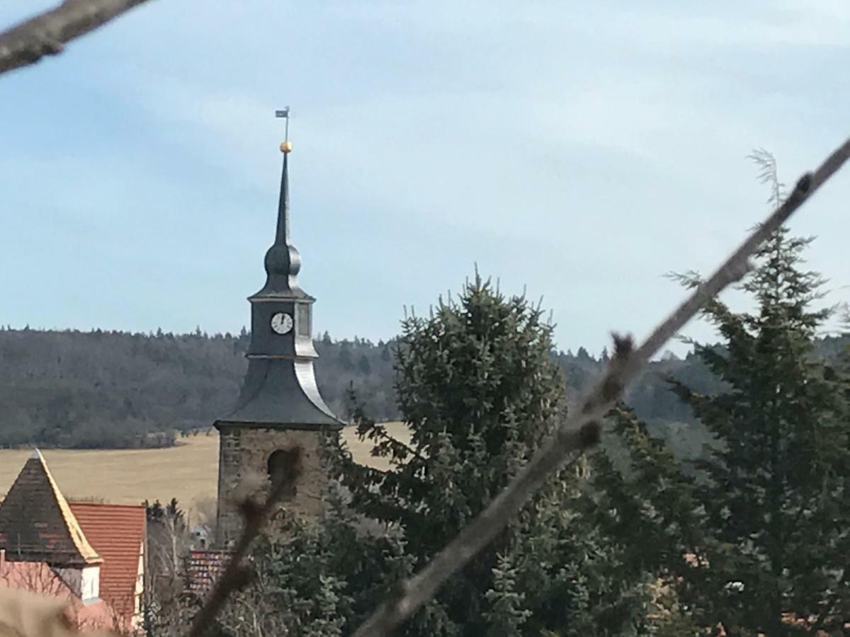 Ferienhaus An Der Selke Meisdorf Eksteriør bilde